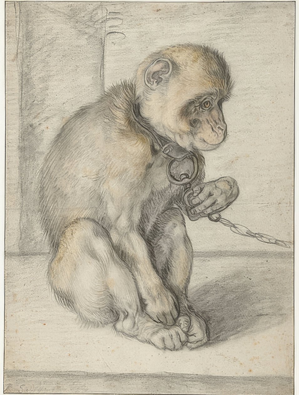 Um macaco sentado em uma corrente. 1592-1602 de Hendrik Goltzius