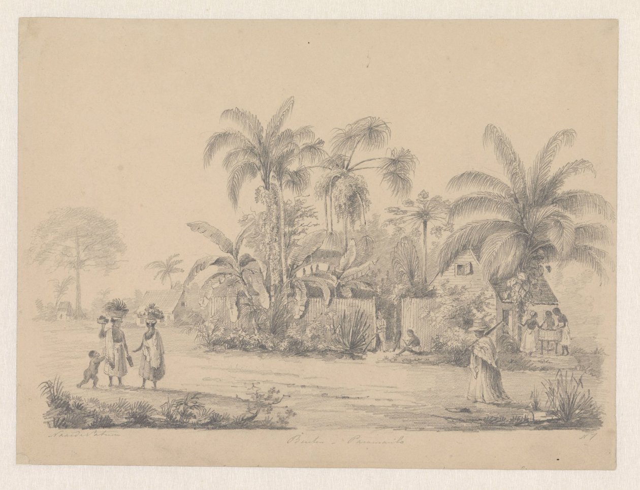 Vista de rua mesmo à saída de Paramaribo de Hendrik Huygens