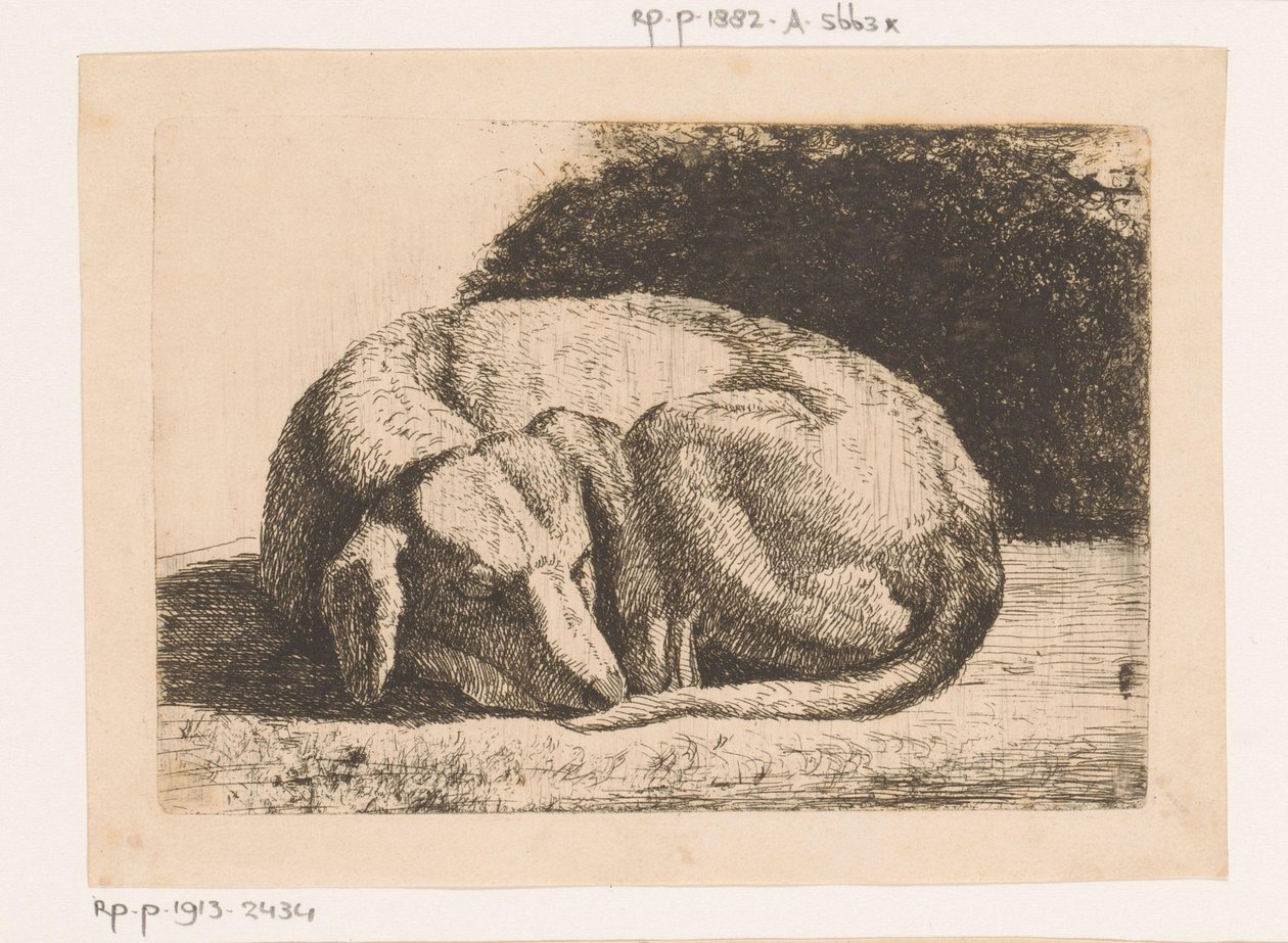 cachorro dormindo de Hendrik Jozef Franciscus van der Poorten