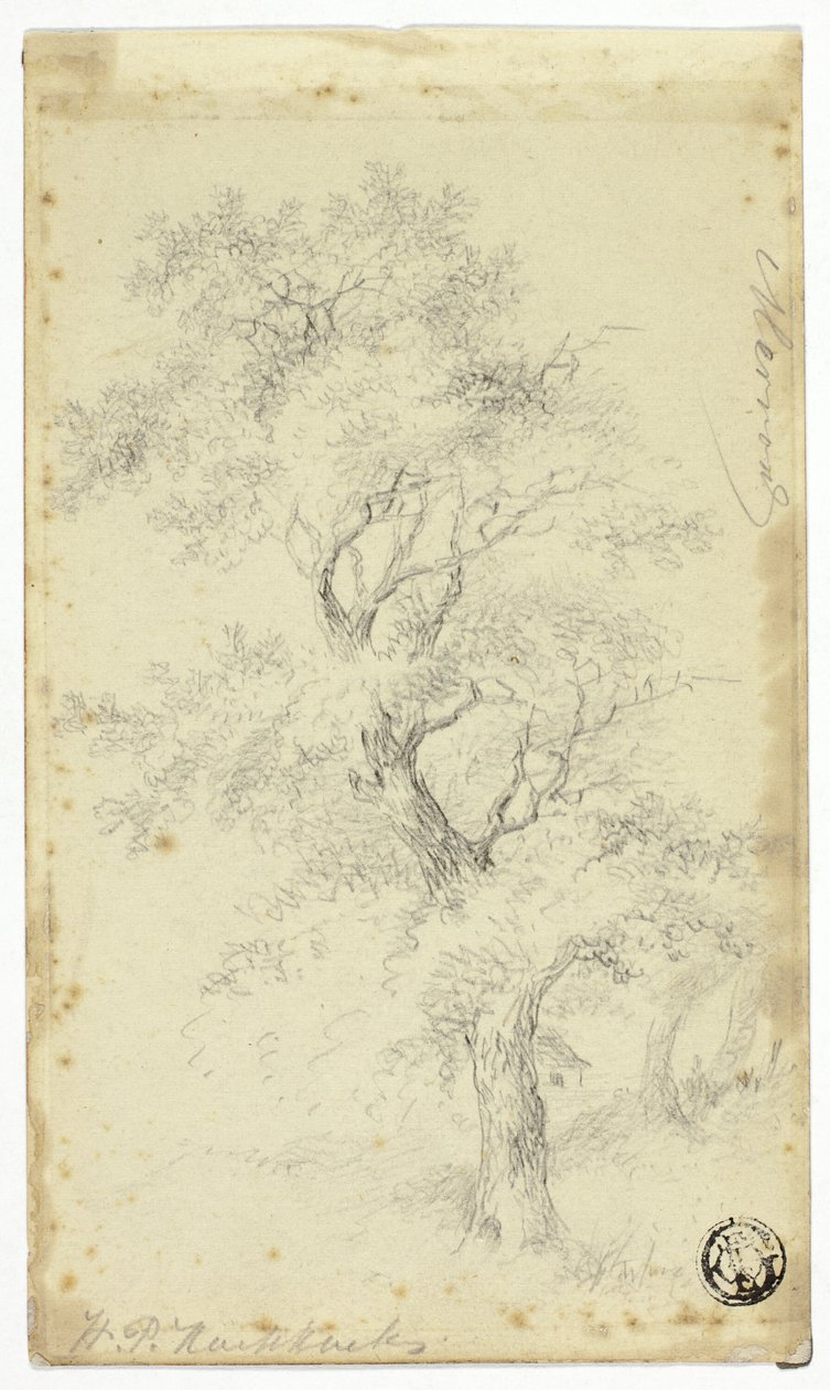 Merron de Hendrik Pieter Koekkoek