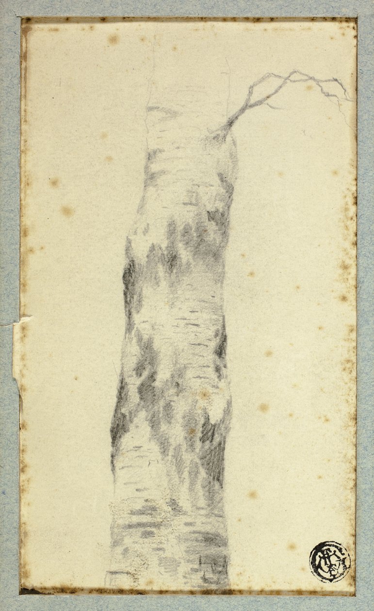 Esboço de Tronco de Árvore de Hendrik Pieter Koekkoek
