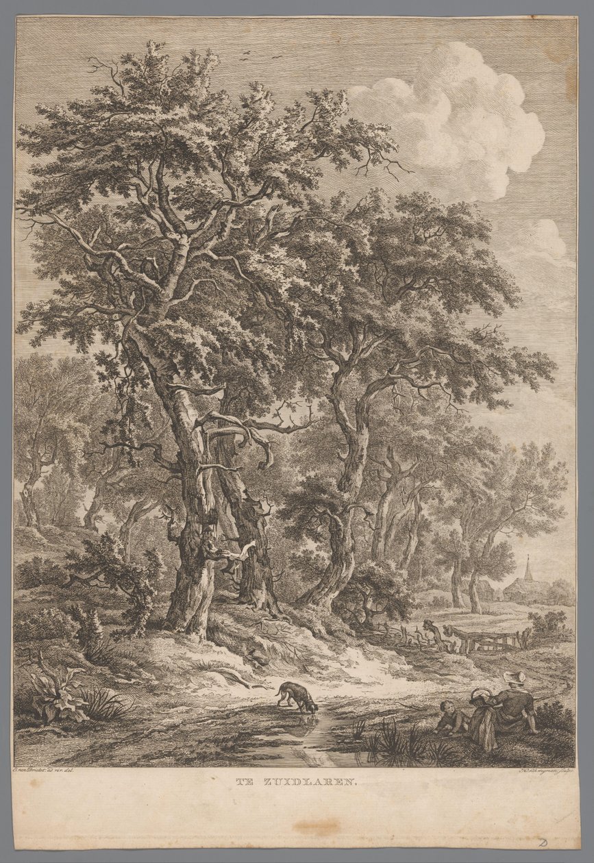 Paisagem em Zuidlaren
Em Zuidlaren (título sobre o objecto)
Nove vistas em Drenthe (título da série)
IX Faces dentro e perto da paisagem de Drenthe (título da série) de Hendrik Schwegman