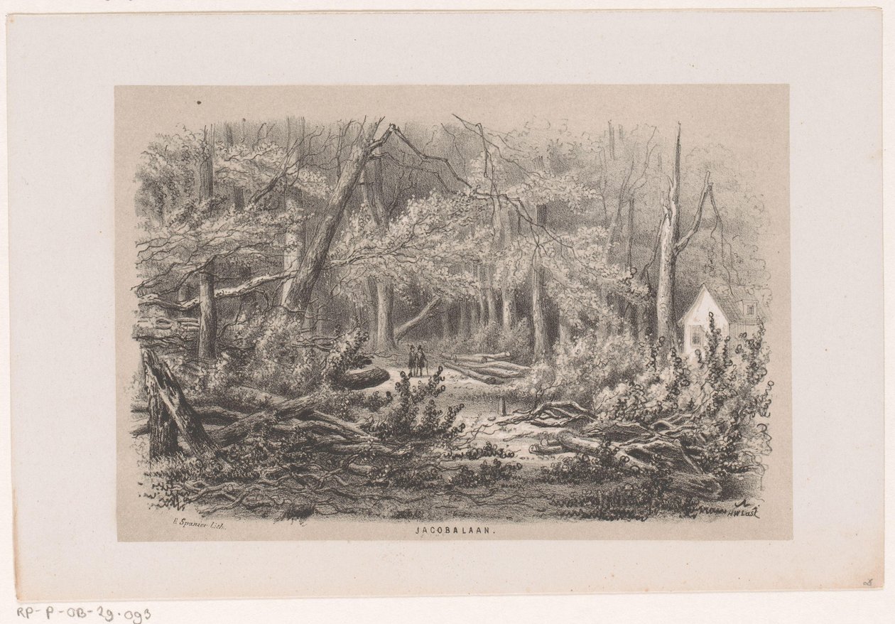 Árvores derrubadas em Jacobalaan, após a tempestade de 28 de maio de 1860 Jacobalaan (título no objeto) Álbum de dez esboços litografados, representando Tooneelen da Destruição, Agitado pela tempestade de 28 de maio de 1860 em 