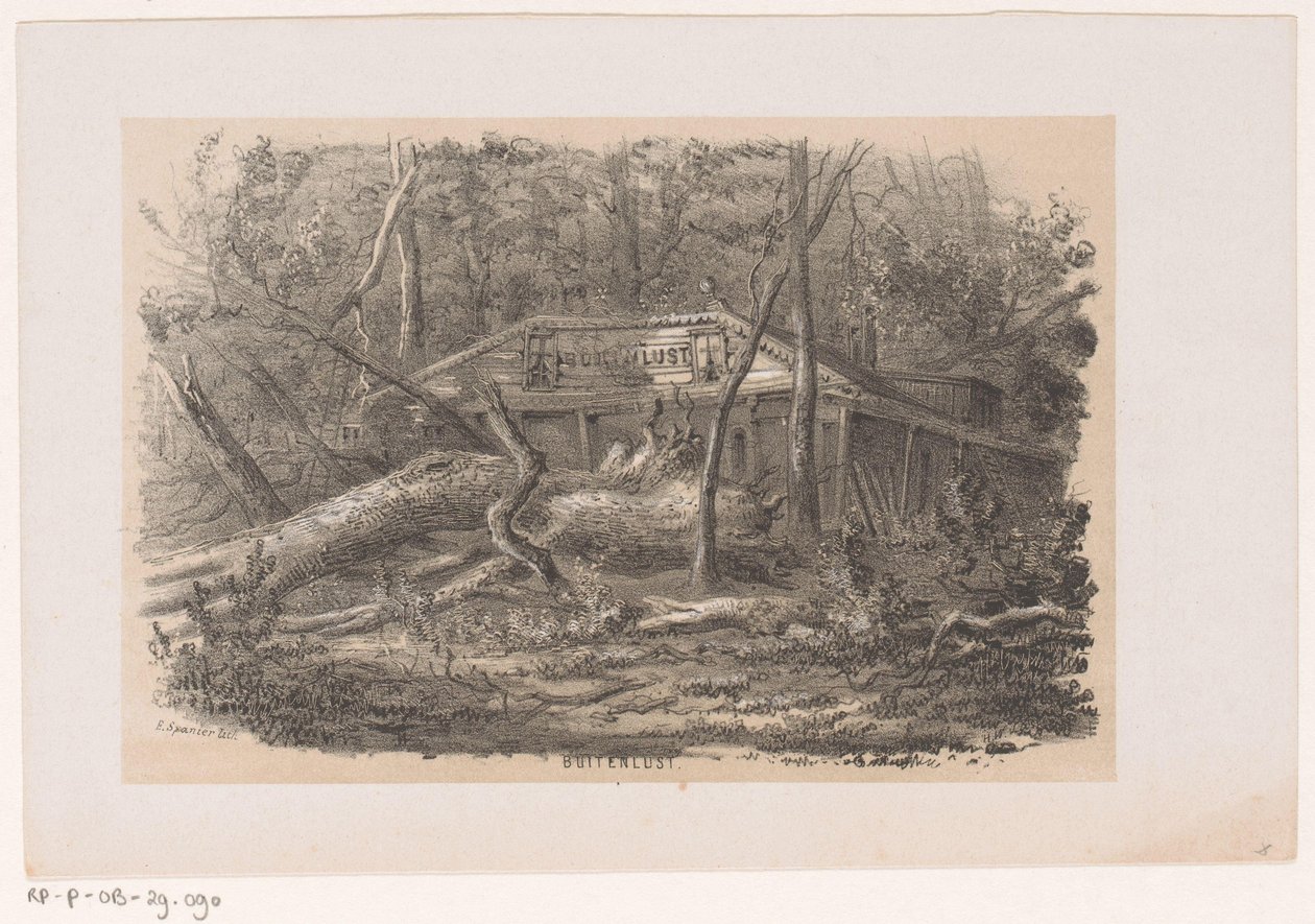Árvore derrubada em Buitenlust, após a tempestade de 28 de maio de 1860 Buitenlust (título no objeto) Álbum de dez esboços litografados, representando Tooneelen da Destruição, Agitado pela tempestade de 28 de maio de 1860 no 