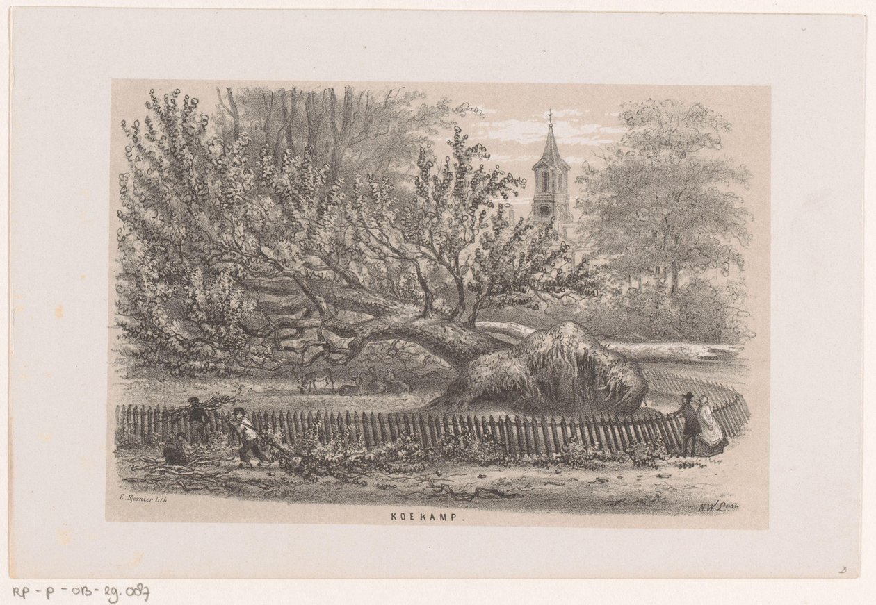 Árvore derrubada no Koekamp, ​​​​após a tempestade de 28 de maio de 1860 Koekamp (título no objeto) Álbum de dez esboços litografados, representando Tooneelen da Destruição, Agitado pela tempestade de 28 de maio de 1860 no 