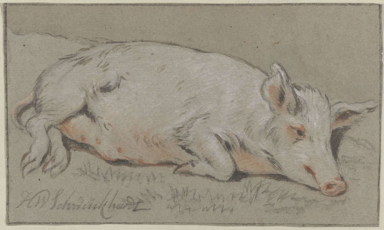 Porco reclinado de Hendrik Willem Schweickhardt (signed by artist)