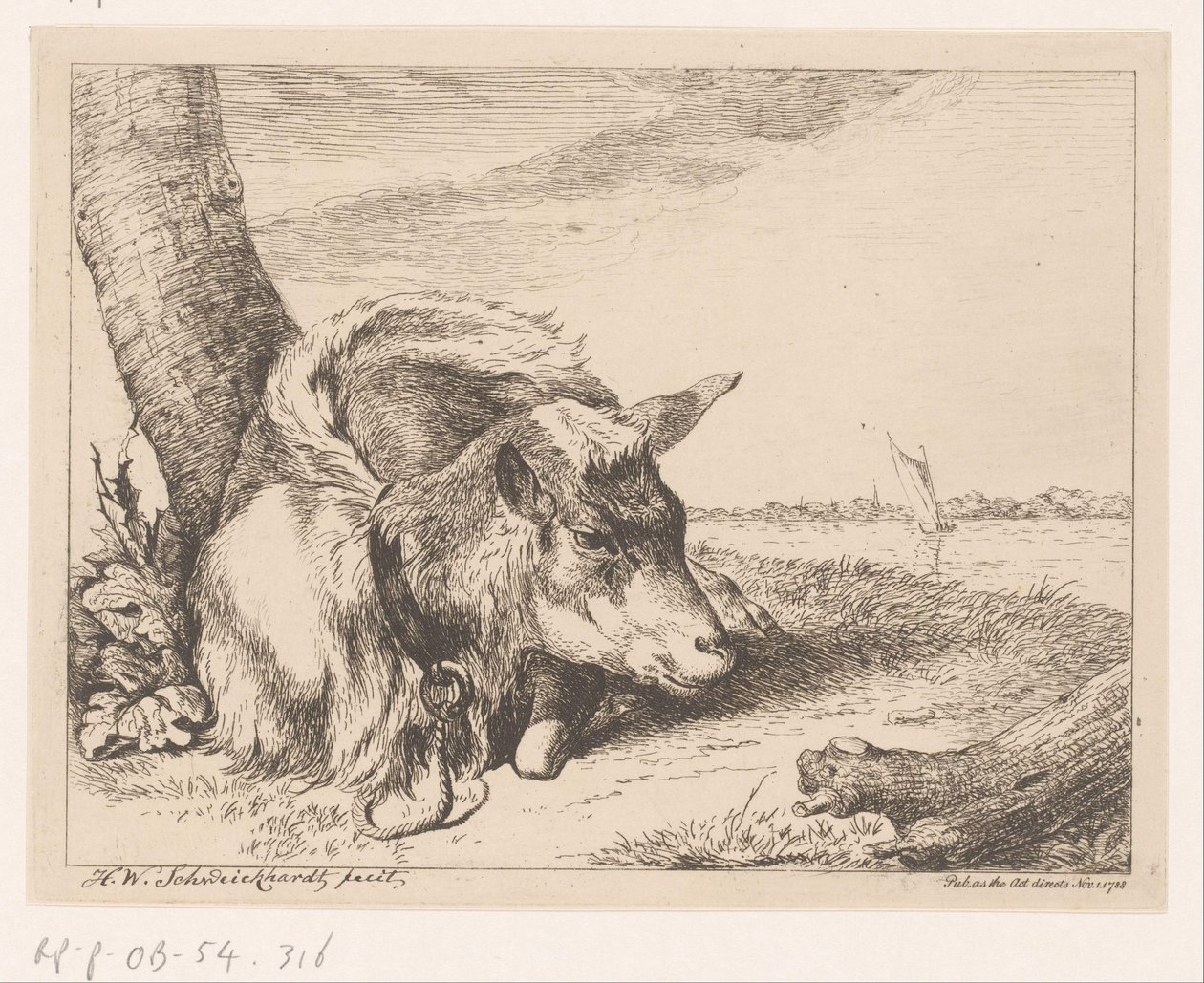 Cabra deitada perto da água Animais diferentes (título da série) de Hendrik Willem Schweickhardt