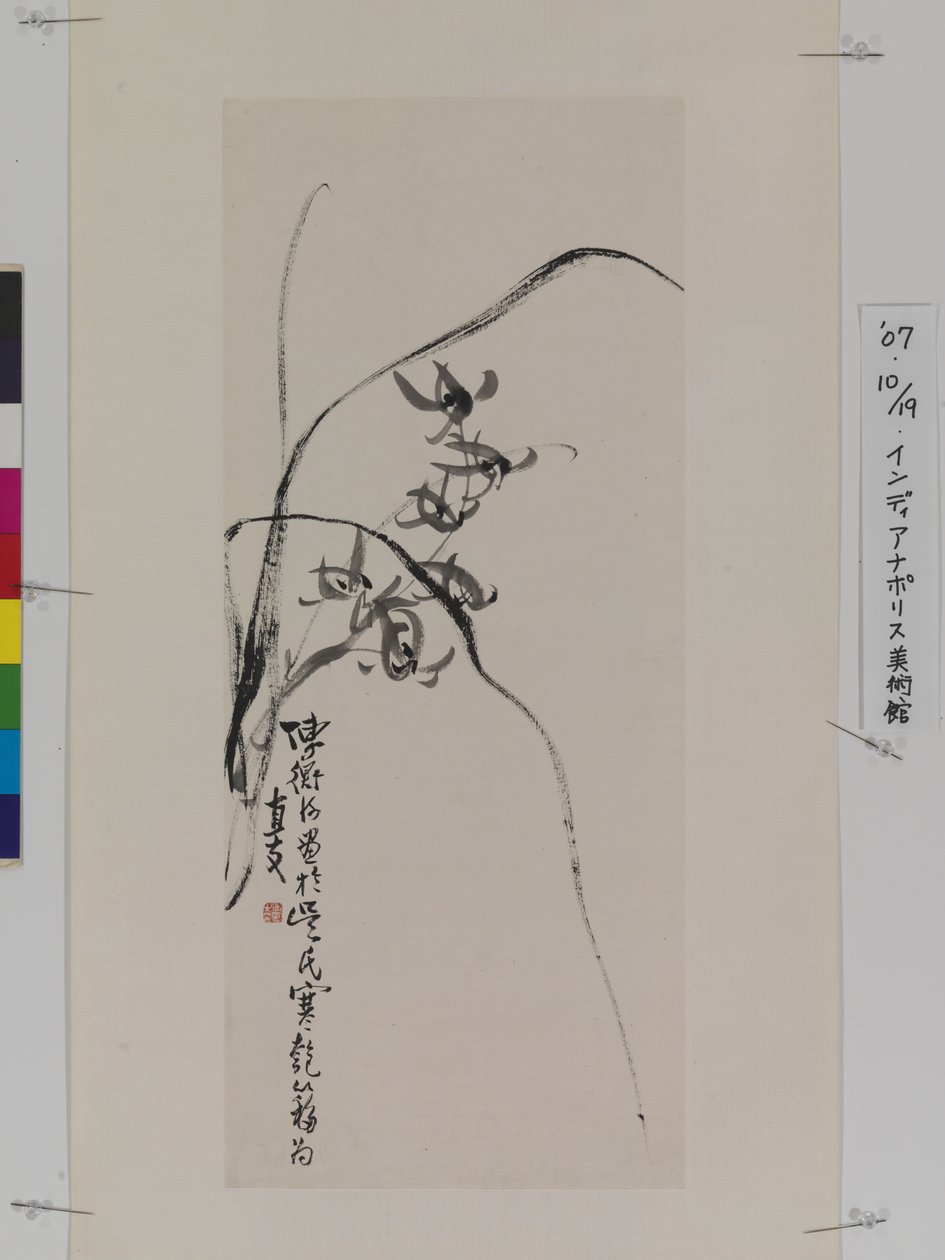 Orquídeas (tinta sobre papel) de Hengke Chen