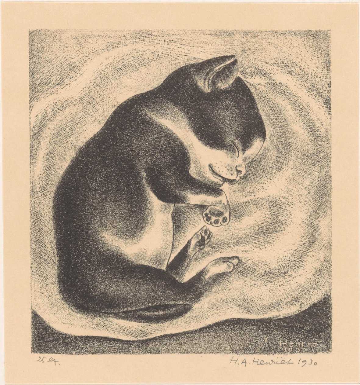 Gato jovem adormecido de Henk Henriët (signed by artist)