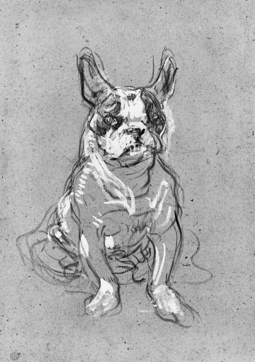 &39;Bouboule&39;, o bulldog de Madame Palmyre em La Souris, 1897 (óleo sobre papelão) de Henri de Toulouse Lautrec
