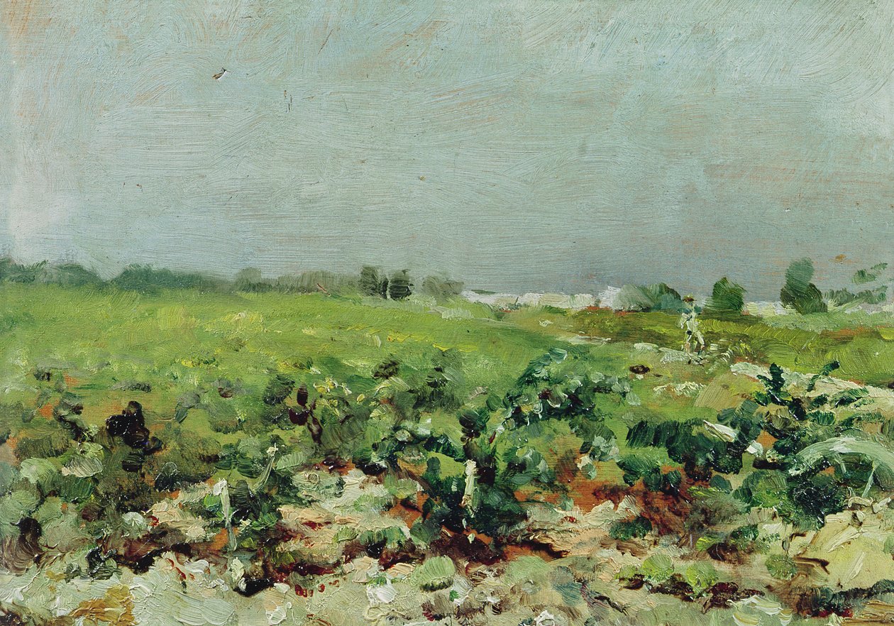Celeyran, vista do vinhedo, 1880 de Henri de Toulouse Lautrec