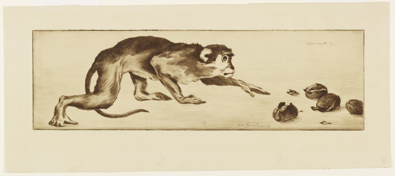 Macaco e Castanhas, século XIX (gravura e roleta) de Henri Charles Guérard