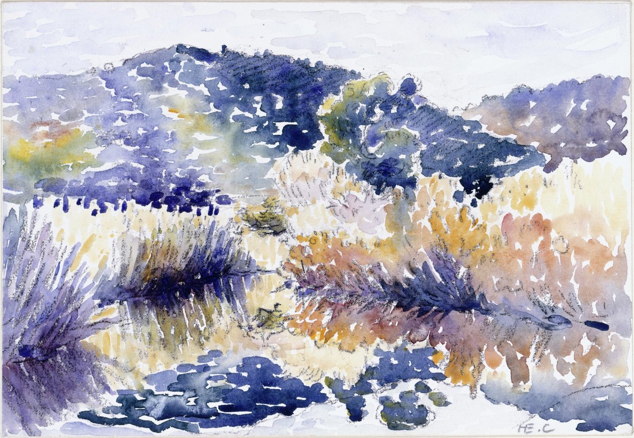 Lagoa entre os arbustos de Henri-Edmond Cross