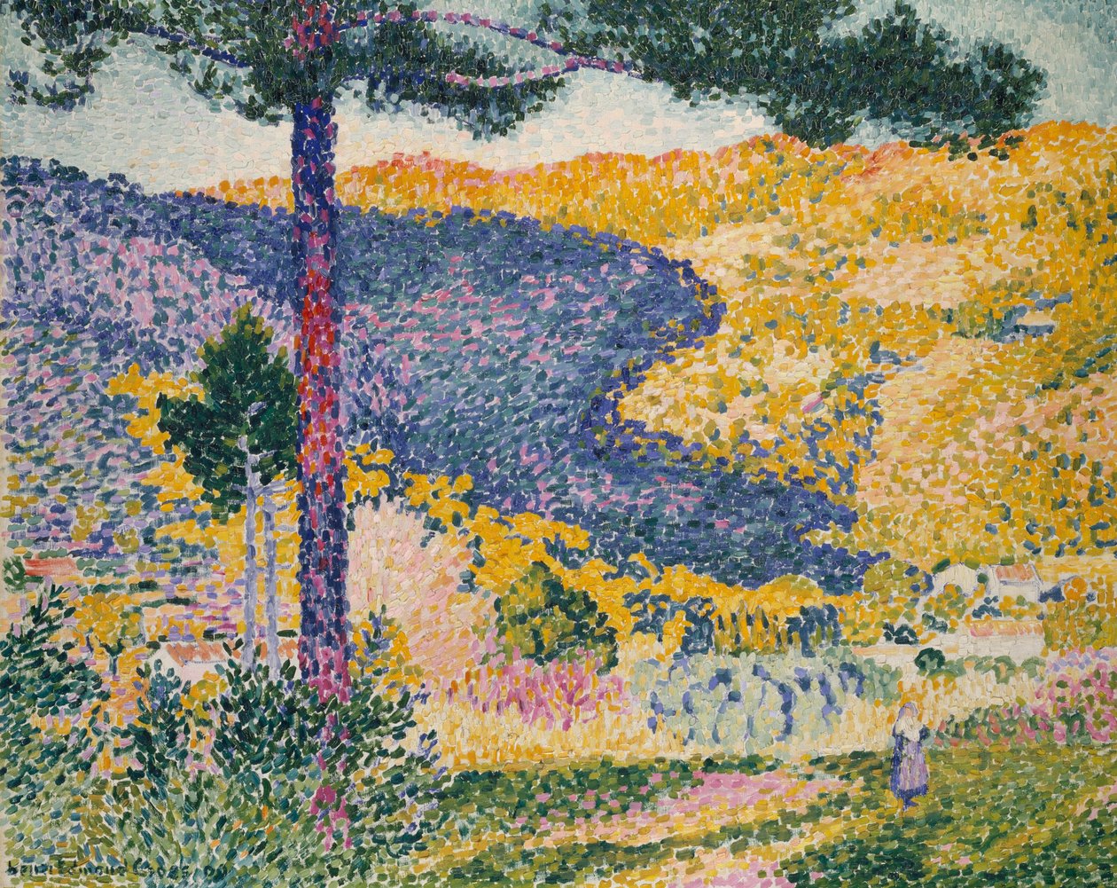 Vale com abeto (sombra na montanha) de Henri Edmond Cross