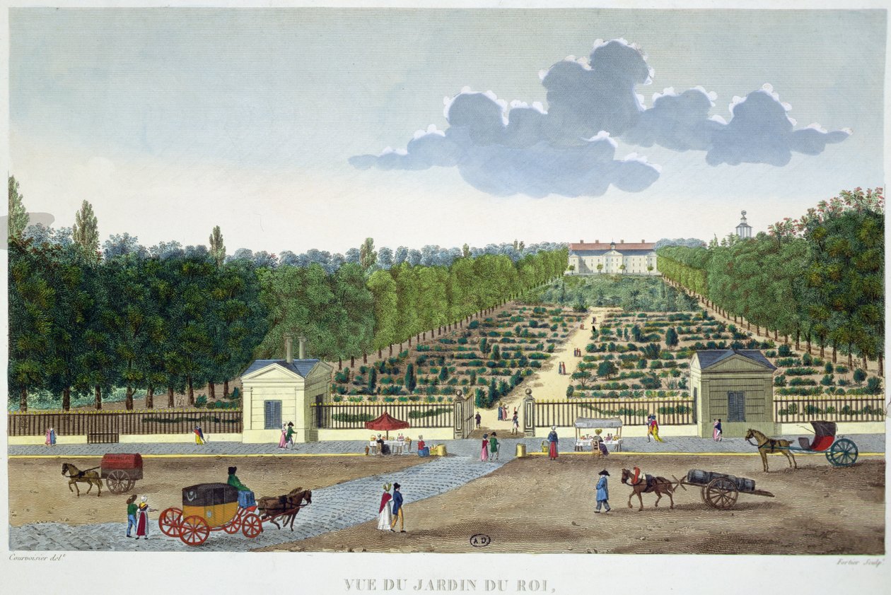 Vista do Jardin du Roi em Paris da ponte de Austerlitz, gravada por Claude Fortier (1775-1835) (gravação a cores) de Henri (after) Courvoisier Voisin