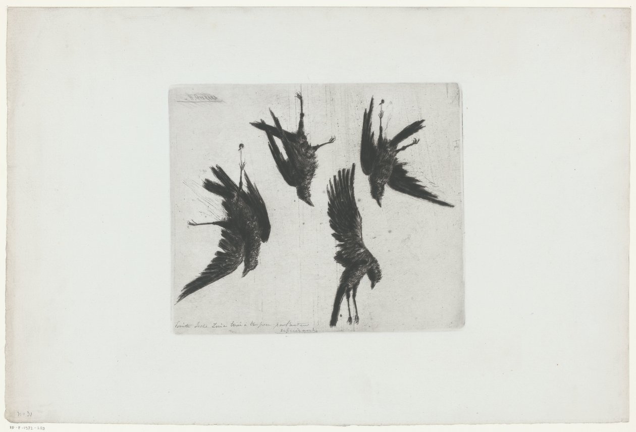 Quatro corvos mortos pendurados numa parede de Henri Charles Guérard (signed by artist)