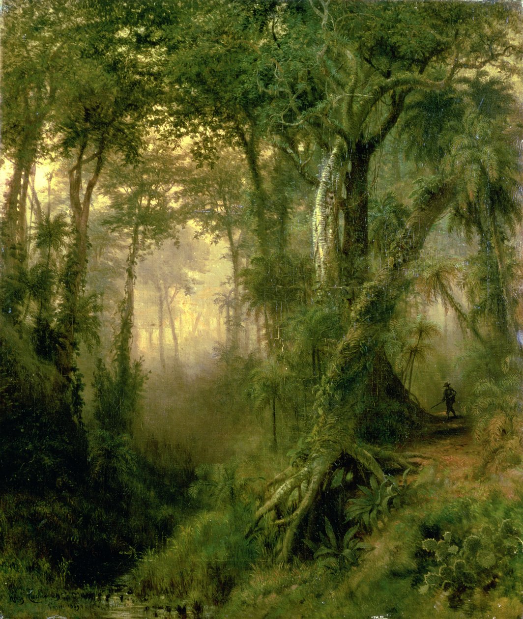 Um caçador na selva cubana, nascer do sol de Henri Cleenewerck