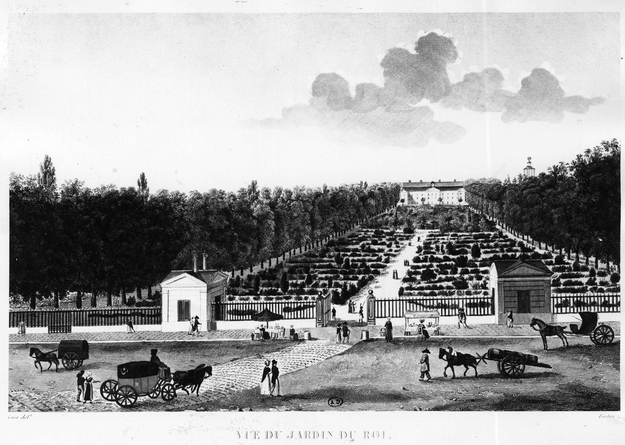 Vista do jardim do Rei: o Jardin des Plantes em Paris - gravura de Courvoisier de Henri Courvoisier Voisin