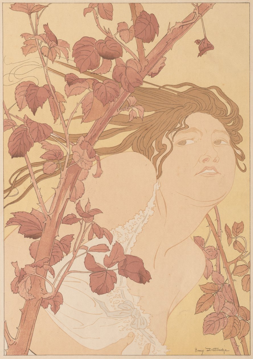 Nas silvas, 1898. de Henri Detouche