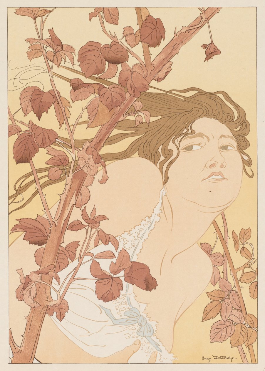 Nas silvas Nas silvas, 1898. de Henri Detouche