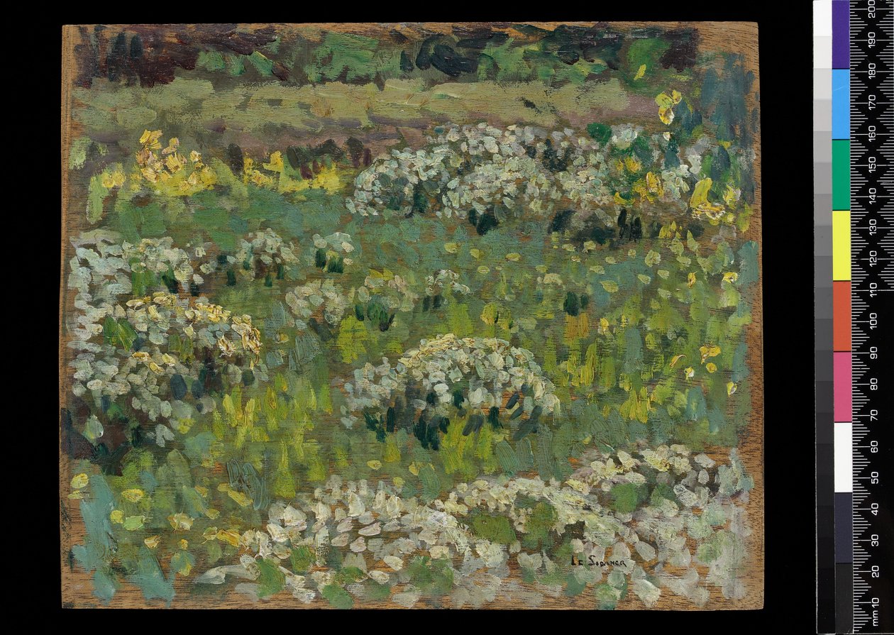 O jardim da lagoa, Hampton Court (óleo sobre madeira) de Henri Eugene Augustin Le Sidaner