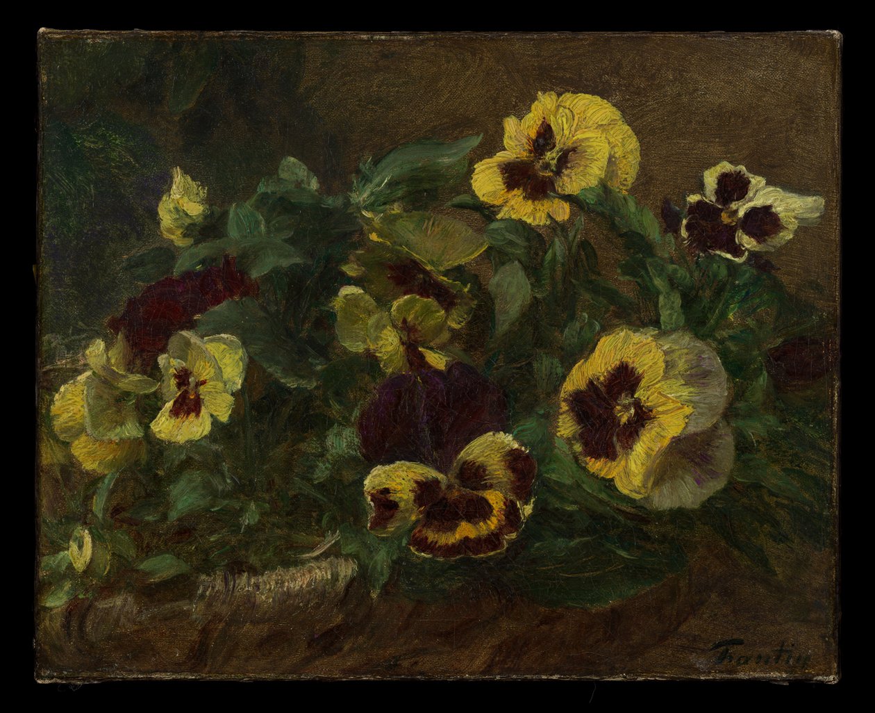 Pansies de Henri Fantin-Latour