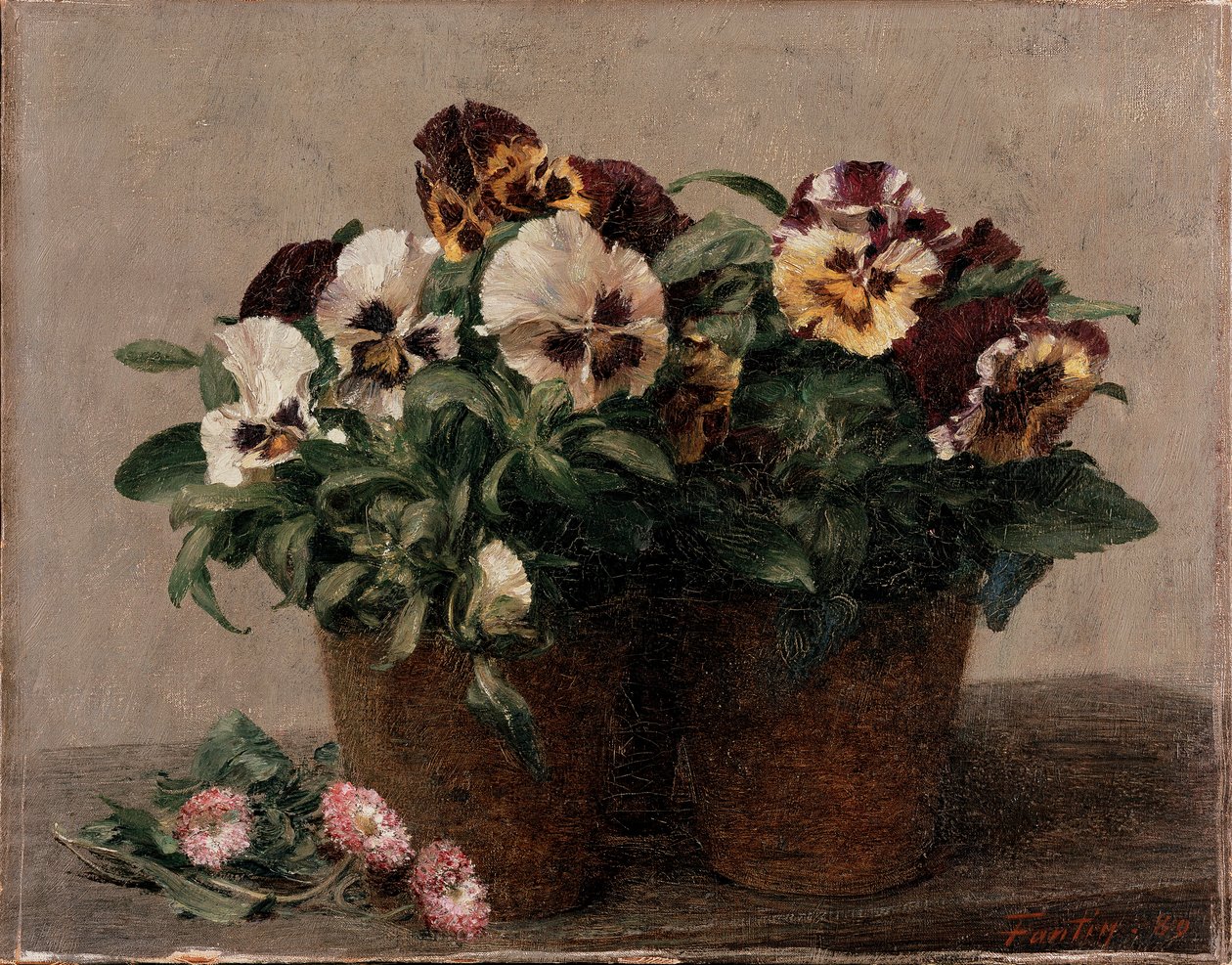 Natureza Morta: Pansies and Daisies, 1880 de Ignace Henri Jean Fantin Latour