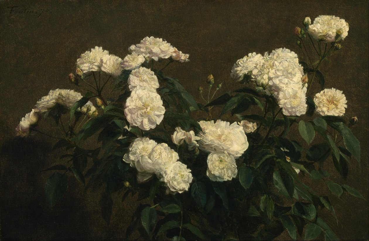Natureza morta de rosas brancas de Henri Fantin Latour