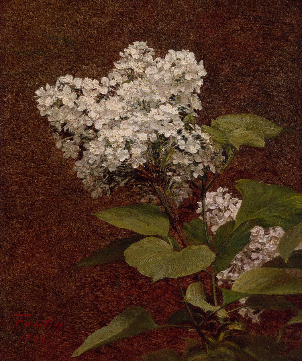 Lilases Brancos de Ignace Henri Jean Fantin Latour