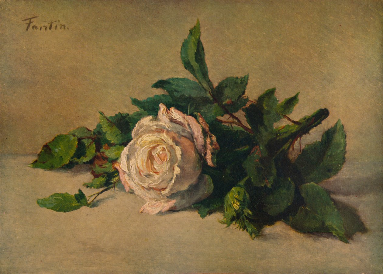 Rosa branca, c1863, 1938 de Ignace Henri Jean Fantin Latour