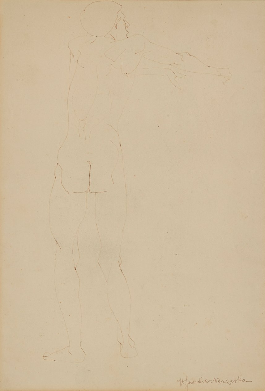 Nu Masculino (caneta no papel) de Henri Gaudier Brzeska