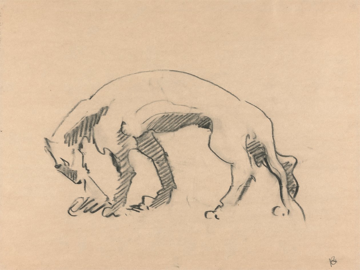 Lioness em perfil de Henri Gaudier Brzeska