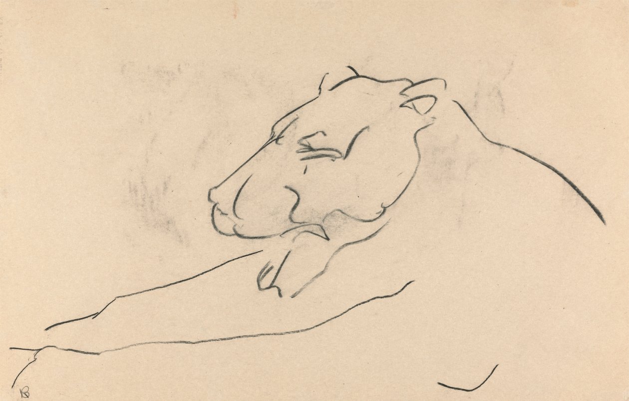 Lioness em linha recortada de Henri Gaudier-Brzeska