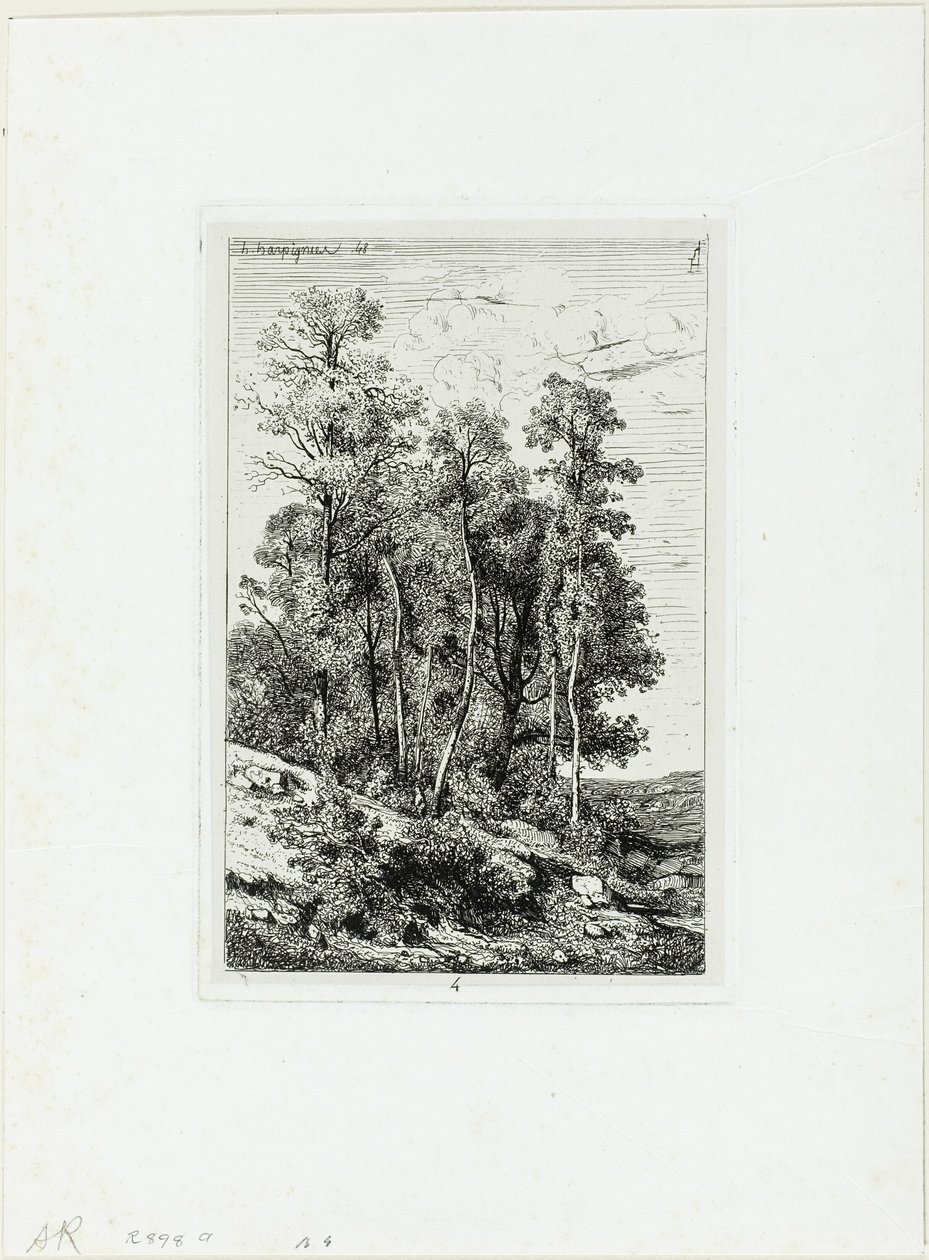 Bétulas e Carvalhos de Henri Joseph Harpignies