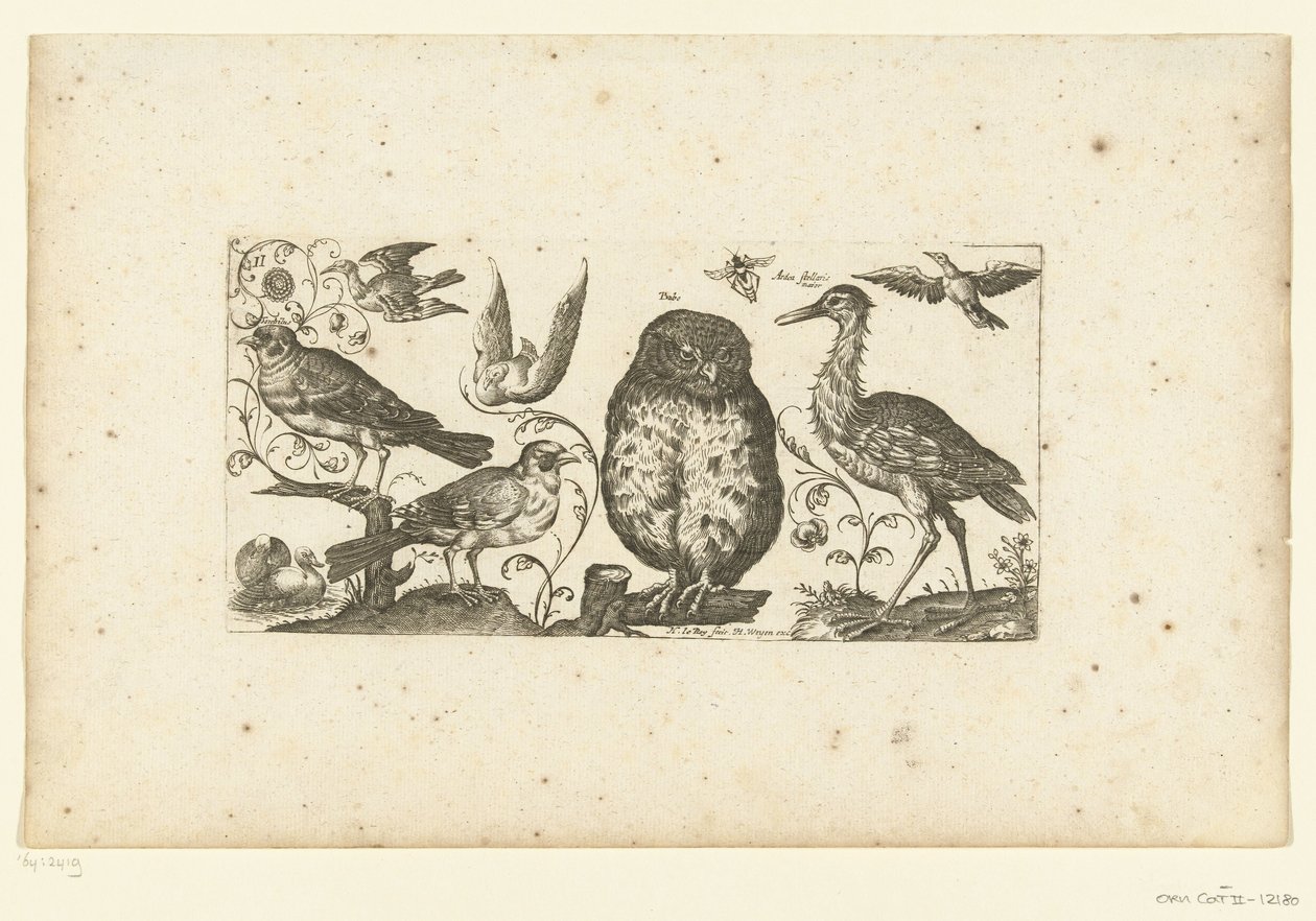 Nove pássaros e um inseto Aves (título da série) de Henri Le Roy
