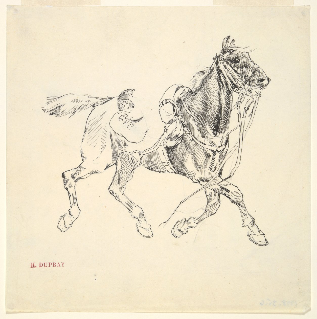 Cavalo Militar de Henri Louis Dupray