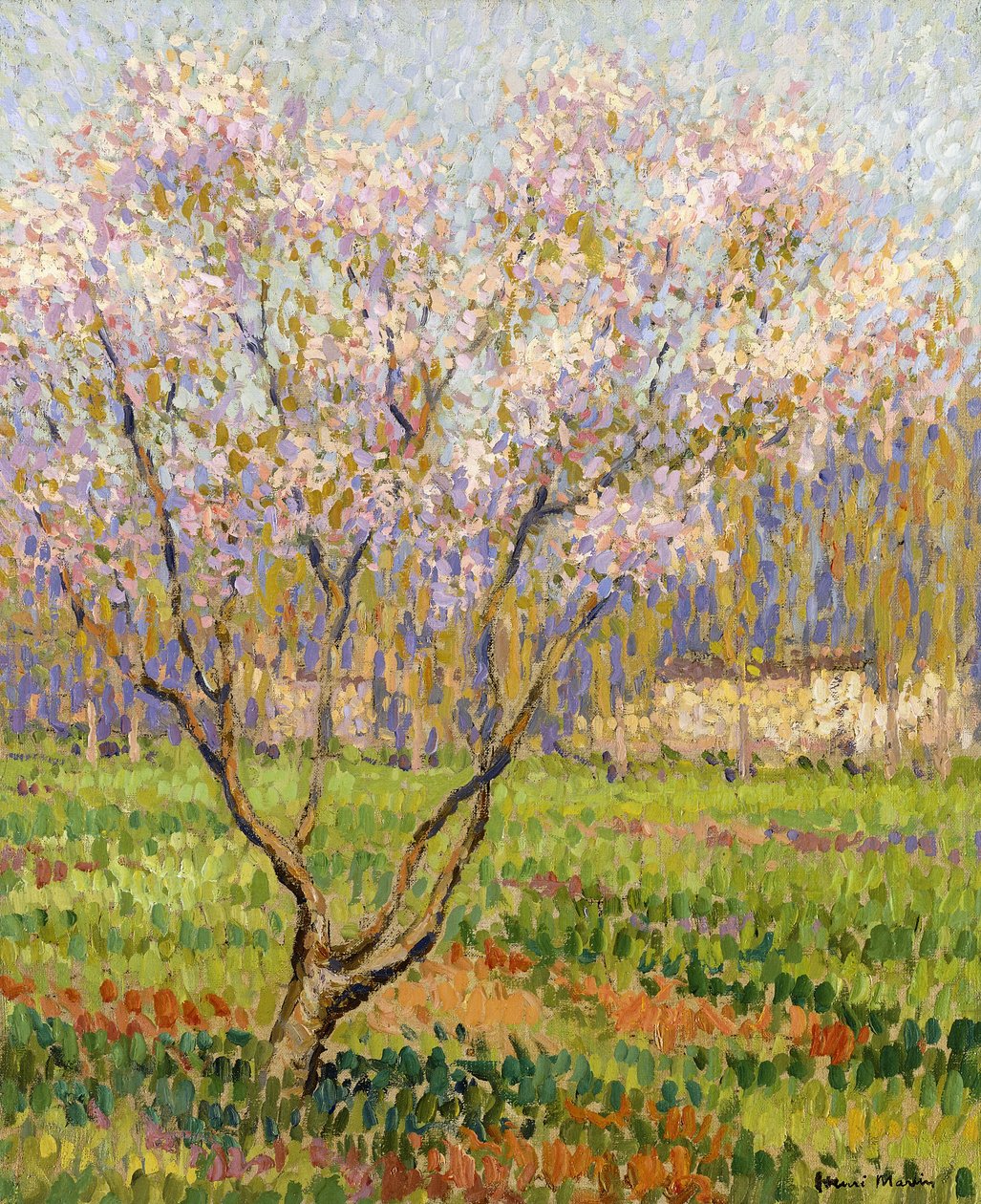 Macieira em flor; Flores de maçã, de Henri Martin