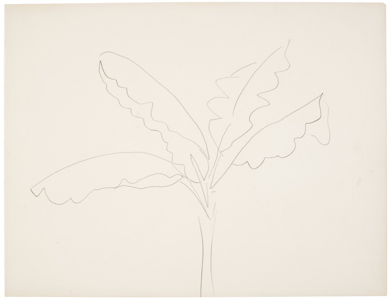 Bananeira (Tahiti) de Henri Matisse