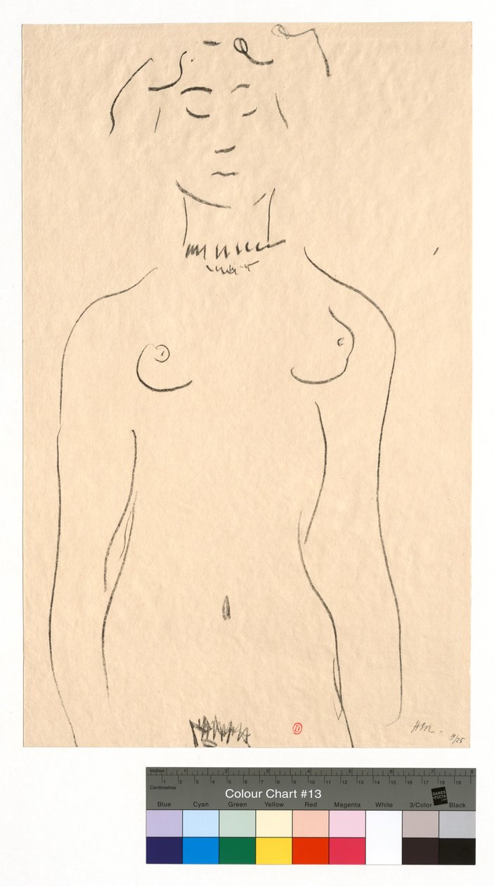 O Ídolo de Henri Matisse