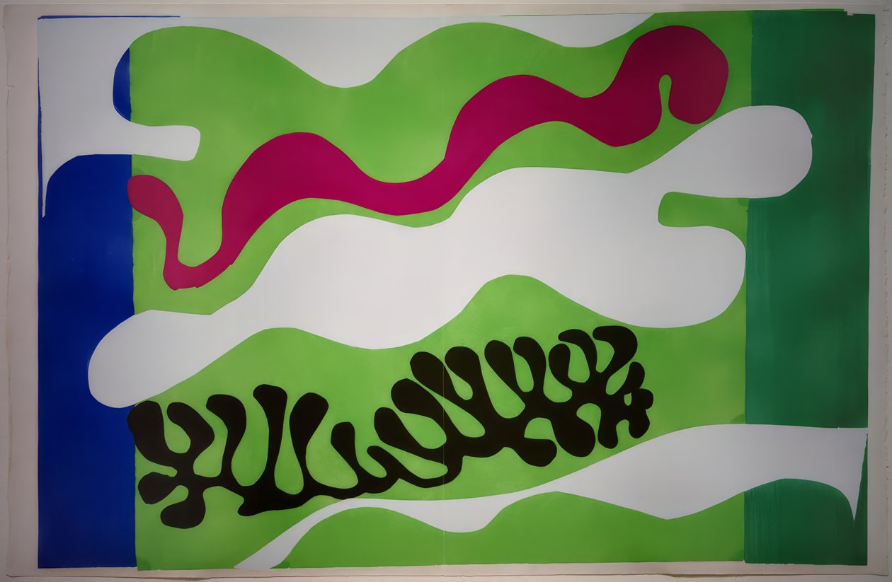 Le Lagon II / Jazz de Henri Matisse