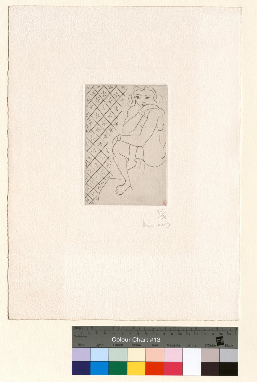 Nu sentado, fundo de azulejos estrelados de Henri Matisse
