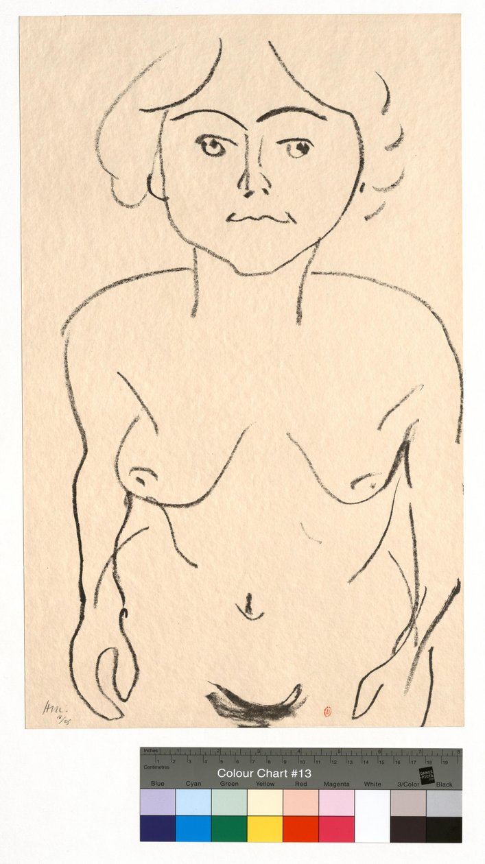Nu de frente, vista de cima de Henri Matisse