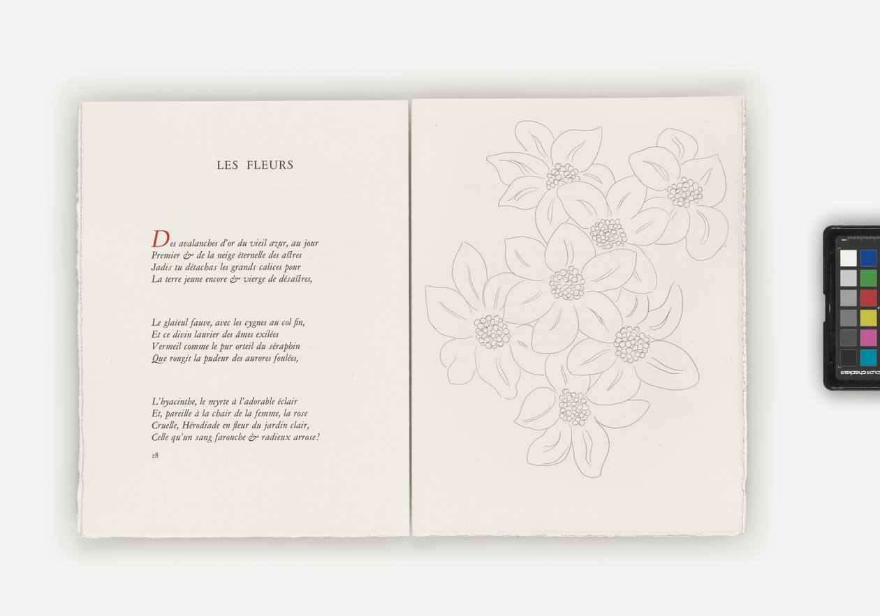 Poesia de Henri Matisse