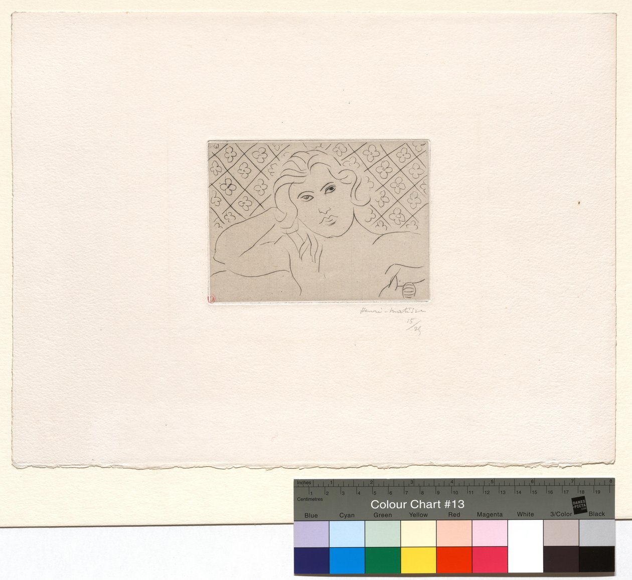 Parte da frente, fundo com motivos florais de Henri Matisse