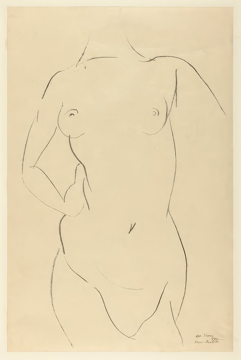 Torso de Henri Matisse