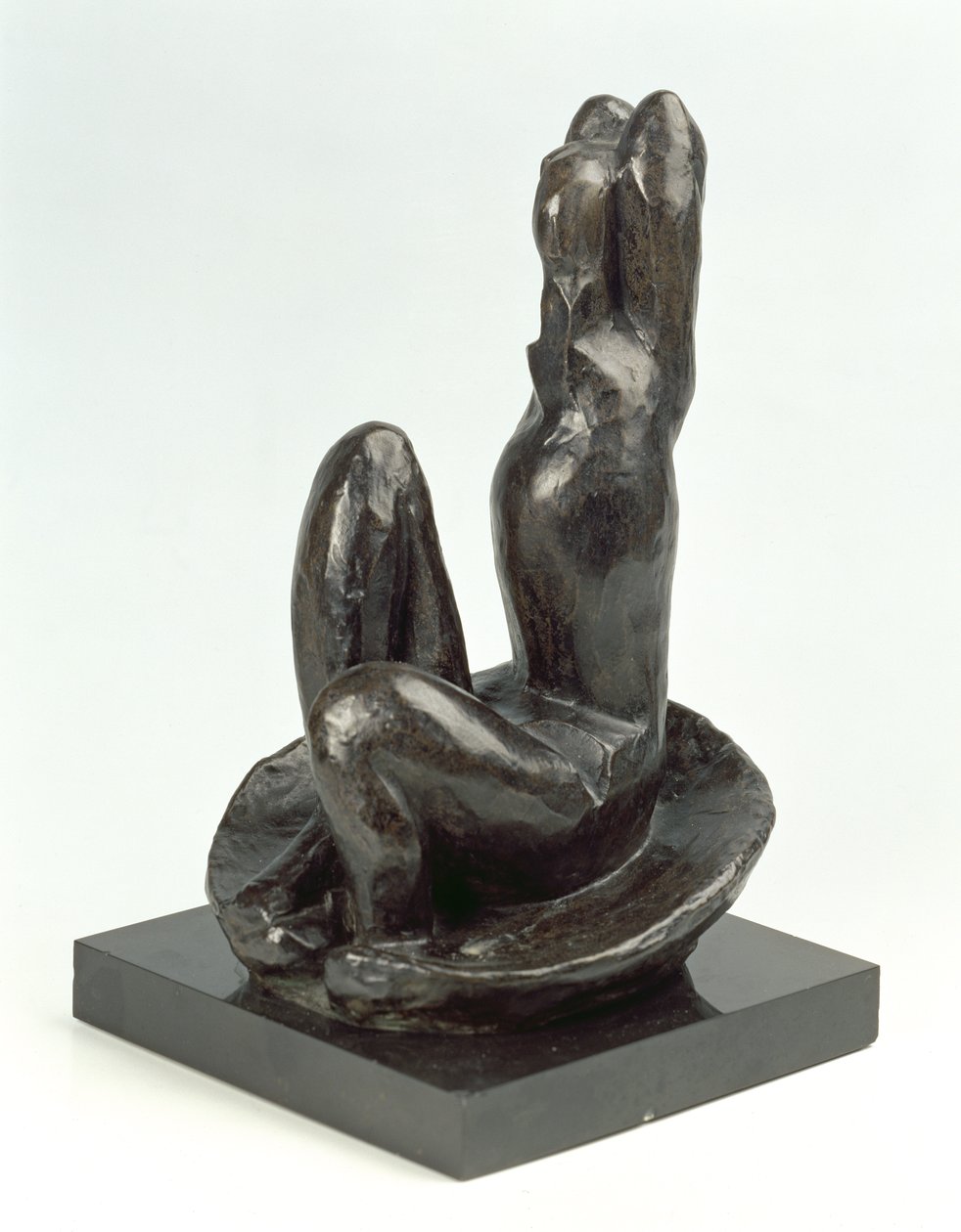 Vénus numa concha I de Henri Matisse