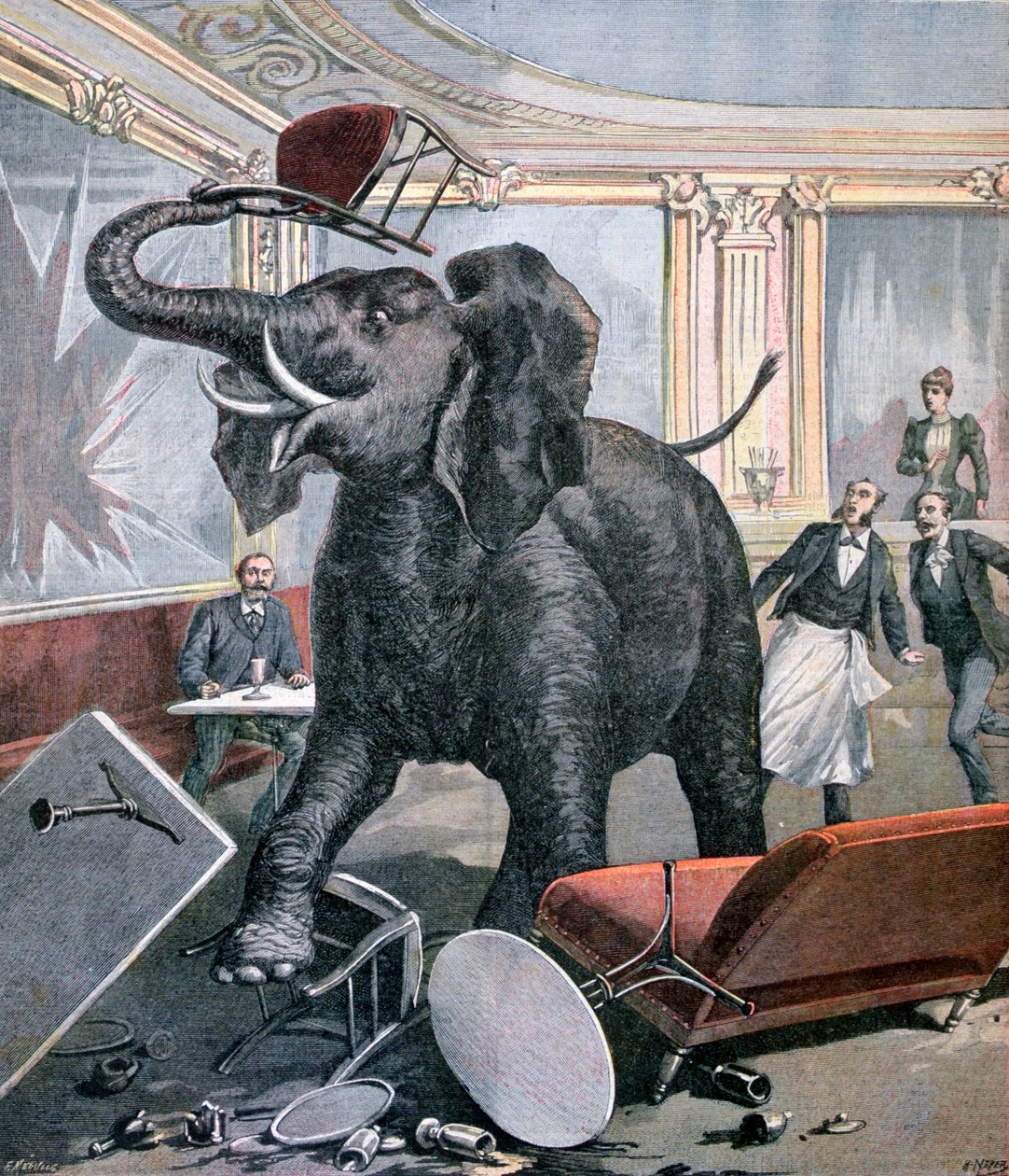 Um elefante no café pré-catalão, Toulouse, França, 1891 de Henri Meyer