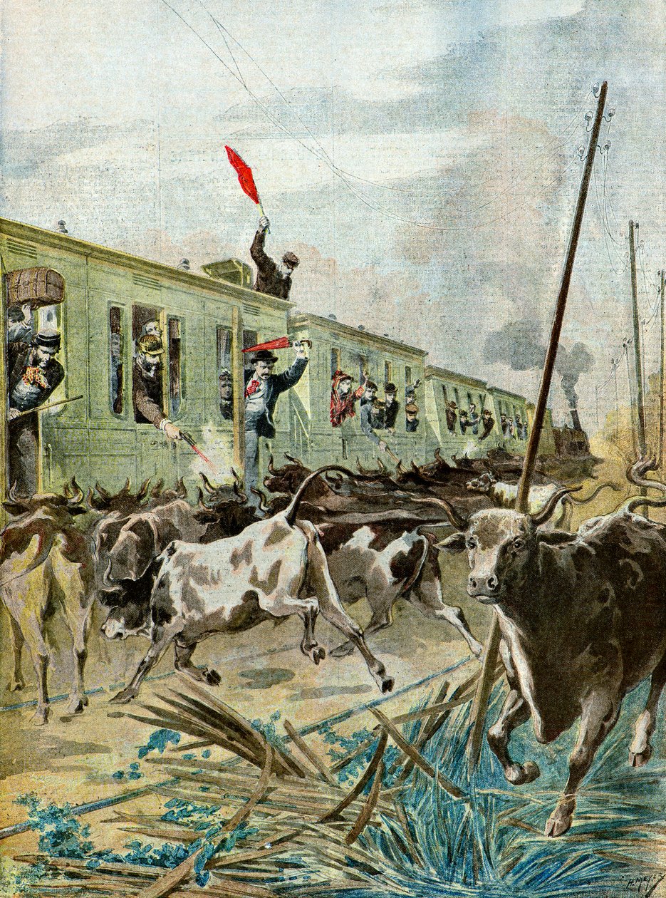 Um comboio atacado por uma manada de touros, 1895 (Ilustração) de Henri Meyer