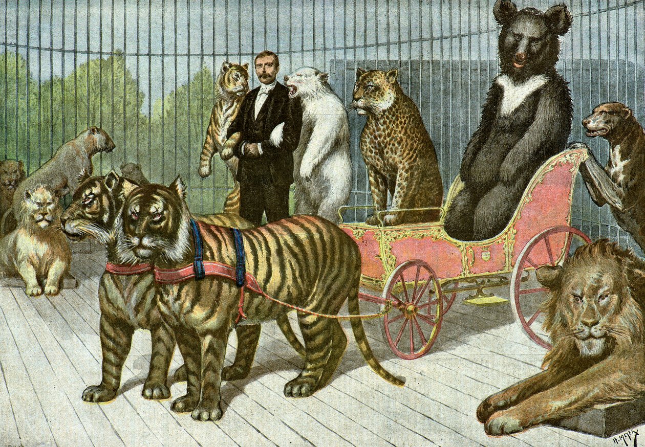 A gaiola dos betes feroces no jardim de aclimatação,1895 (Ilustração) de Henri Meyer
