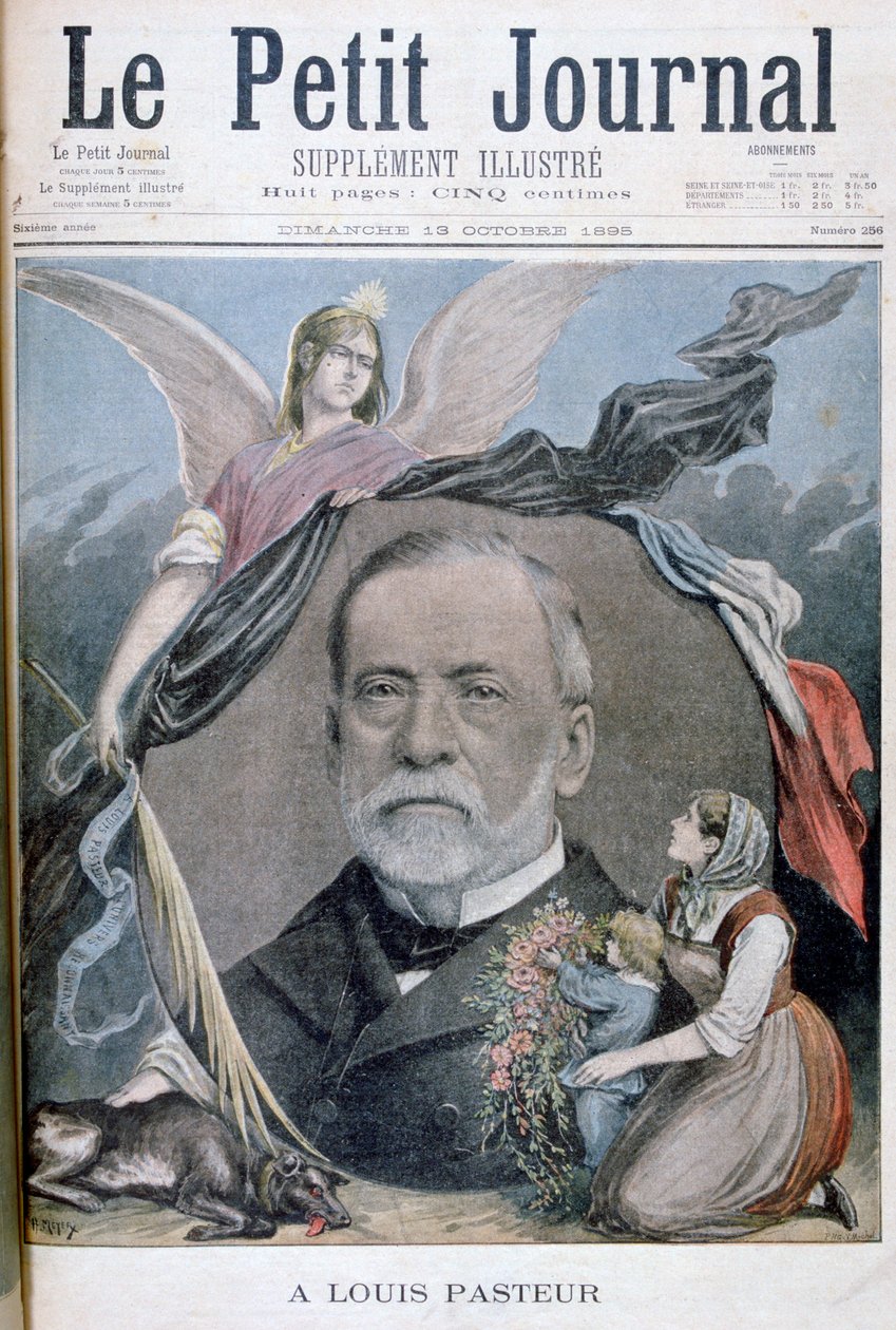 Louis Pasteur, químico francês, 1895 de Henri Meyer